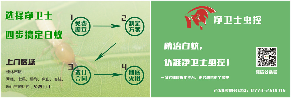 家里有白蟻怎么辦.jpg