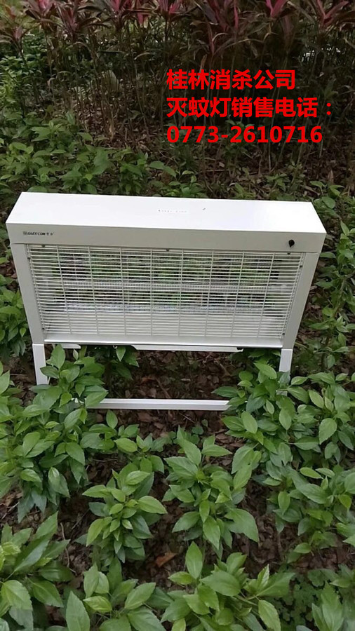 桂林賣滅蚊燈.jpg
