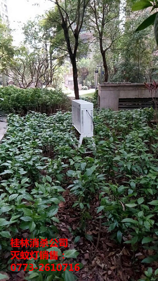 室外滅蚊燈.jpg