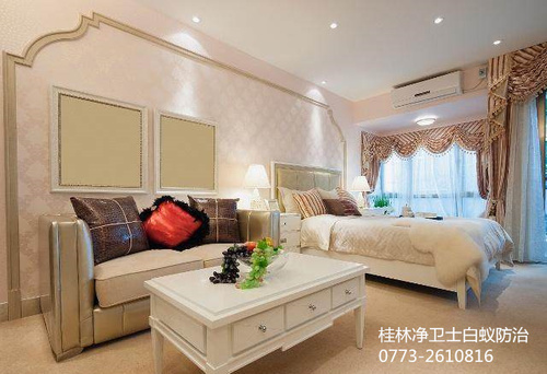 桂林滅白蟻公司.jpg