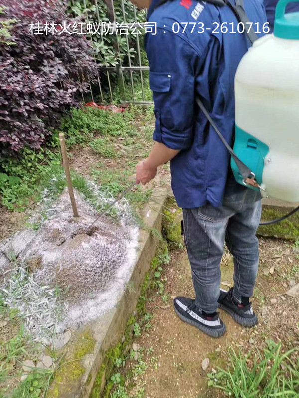 紅火蟻消殺.jpg