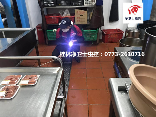徹底消滅蟑螂.jpg
