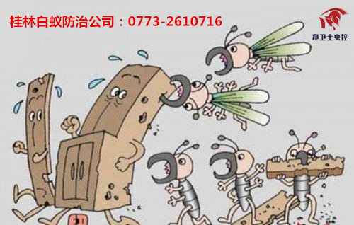 白蟻防治中心.jpg