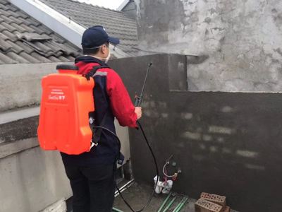 装修必备：白蚁预防