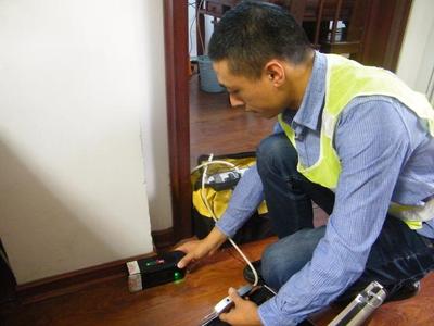 桂林：家里的白蚁从哪来的